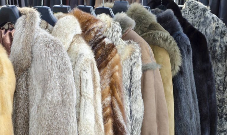 verschieden Pelzmäntel auf Bügeln hintereinander aufgehangen