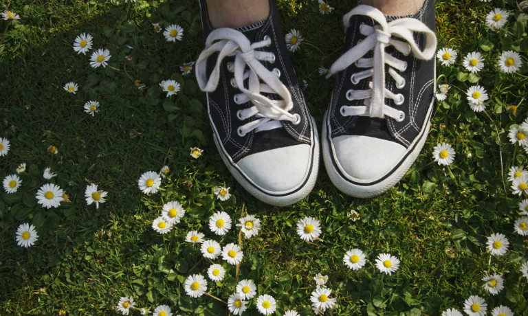 Schwarze Chucks auf einer Blumenwiese